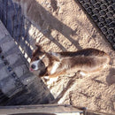 Rubber Workshop Safety Mats With Drainage Holes E - Rubber Co